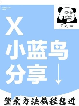 全球爆火的APP登录交流软件 教学 本期视频教小白登录以及注册方法 #X #X显示离线状态 #推特 #X注册账号 #x登录教学