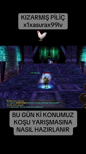 Koşu Yarışmasına Hazırlanan Tavuk Eğitimi