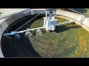 The Wastewater Treatment Process and The Pounds (lbs) Formula!