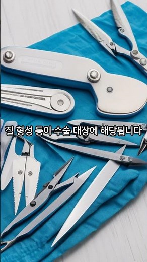 [성지식 백과] 우리가 몰랐던 트렌스젠더 수술 2가지?