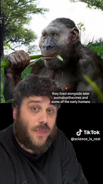 Science in action: paranthropus #sciencetok #evolution #humanevolution #fossil #paleontology #archaeology #learnontiktok #science #australopithecus #drimolen #fieldseason