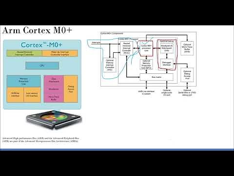 Introduction to Cortex M0+ - Registers