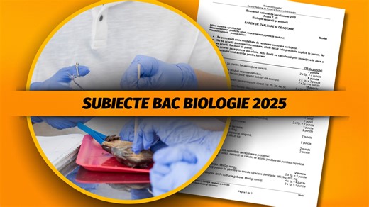 Subiecte BAC Biologie 2025. Ce le-a picat elevilor. Rezolvare și baremul de corectare pentru proba la alegere a profilului și specializării - Update