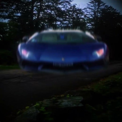 TRIILIUM HARRDEKK[also bunzz edit 😭😭]