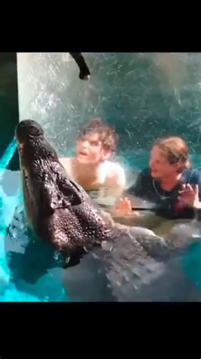 The Most Dangerous Swimming Pools in the World! 😱 Would You Swim Here? | #shorts #facts #trending