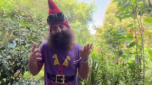 Join us for Happy Noon Year! | dirtgirlworld