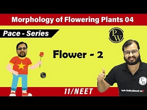 Morphology of Flowering Plants 04 | Flower 02 | Class 11 | NEET | Pace Series