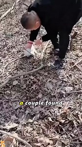 2.4M views · 10K reactions | The fox has a family who loves it.#Love #tiktok #friendship #cute #fox | Impossible Not to Like Animals | Facebook