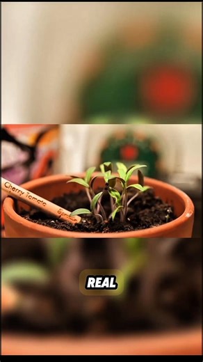 The Strangest Planting Method That Actually Works!😳