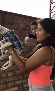 272K views · 2.3K reactions | Desfile de moda 2020 junto a Jefferson Rescata | Helen Rescata | Facebook