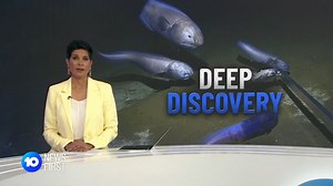 299K views · 3.9K reactions | A group of WA scientists has landed the deepest fish ever caught off the coast of Australia. | 10 News Perth | Facebook