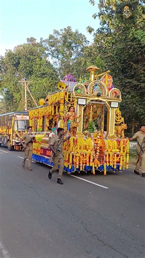 Thanga Anki Chariot Procession #ayyappan #sabarimala #shorts #swami #tatwamasi #ayyappa #aranmula