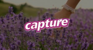 Capture Carpet Dry Cleaning Kit with Powder, Pre-Mist & Brush, Fresh, 1 Pound - Walmart.com