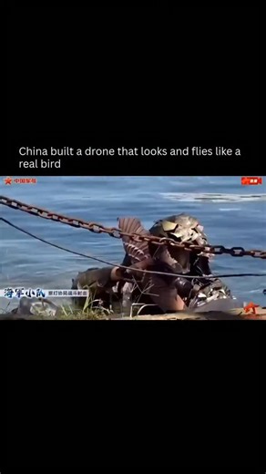 Artificial Intelligence | ChatGPT | AI on Instagram: "China is experimenting with a biomimetic drone that looks and moves like a real bird. Instead of visible rotors, this drone flies by flapping and gliding its wings, closely copying natural bird motion. From the ground, it blends into the sky so well that it is hard to tell whether it is a machine or actual wildlife. The footage appears to show it used during a coastal exercise, where it can perch, skim near the water, and shift direction with