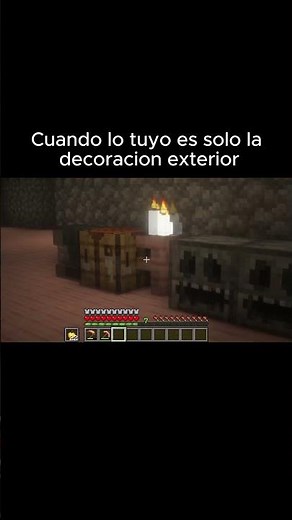 Cuando lo tuyo es la decoracion exterior #minecraft #minecraftmemes
