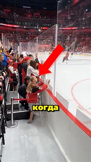 Она украла её шайбу! 😡