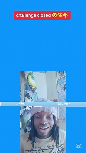 Tally Vian's Best TikTok Challenges Compilation