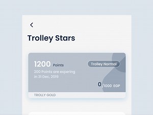 TrolleyEgypt: Loyalty Program Design