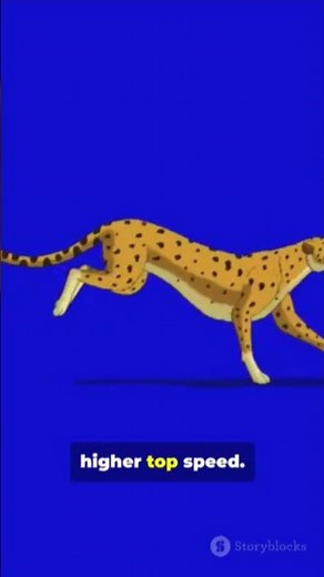 Usain Bolt vs Cheetah:The real speed king! #viral