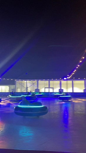 Cute Bumper Car Fun on Ice at Van Saun Park