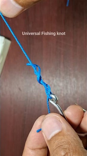 Easy tips for fishing v266 #loop #fishingtips #palomar