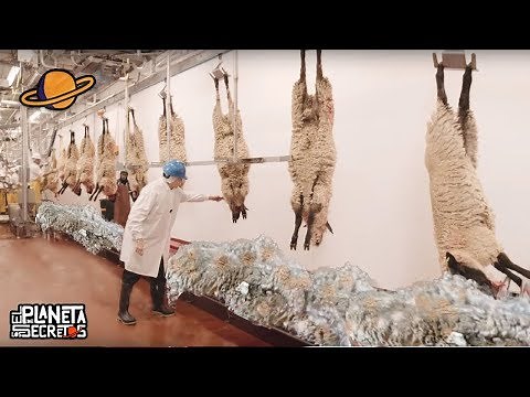 THE PRODUCTION PROCESS OF INDUSTRIAL WOOL