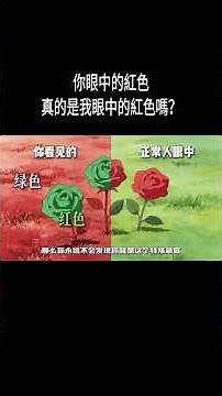 色盲悖论真的无解吗？你眼中的红色，真的是我眼中的红色吗？#科普 #涨知识