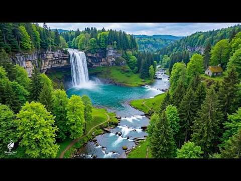 Libera El Estrés Y La Ansiedad 🎶 Música Relajante Para Aliviar La Tensión Y Recuperar La Calma