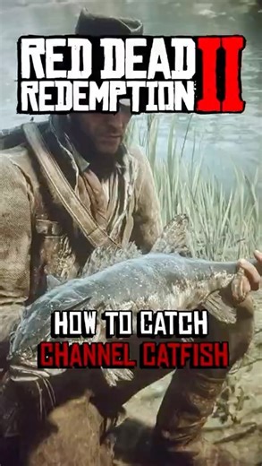 How To Catch Channel Catfish In Rdr2 In 2025! #shorts #rdr2 #reddeadredemption2 #fyp #viral #fishing