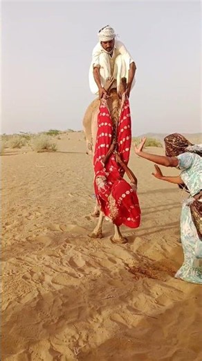 Camel Desert Dance 💃 | Traditional Fun 🐪💃 🎶
