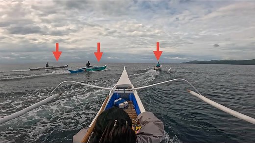 Secrets of marine ecosystems revealed!