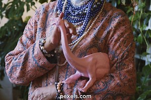 Camera Tracking Videos, Download The BEST Free 4k Stock Video Footage & Camera Tracking HD Video Clips