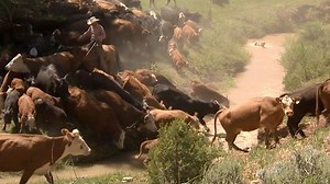 America's Heartland - 1213 - Twin Cities PBS