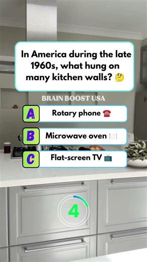 🕰️ “Every home had this!”In America during the late 1960s, what hung on many kitchen walls?