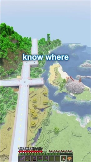 Litematica freaking out...