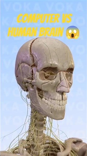Computer Vs Human Brain 😱😱 #braintest #computer #facts #factsdaily #shorts