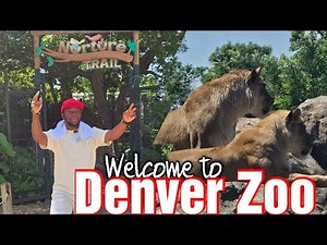 A tour of the Denver Zoo in Denver, Colorado
