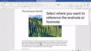 Insert footnotes and endnotes in Word