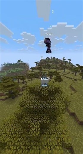 macing all mobs in mc day 2