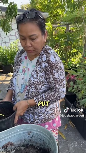 How to Grow Your Own Ginger: Simple Steps Explained