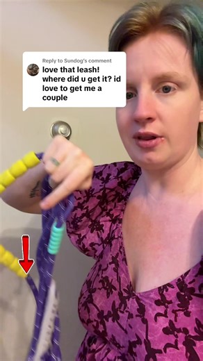 Including Dogs in a Disability-Friendly Lifestyle