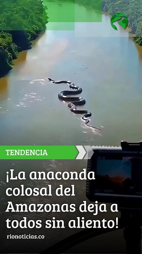 Descubre la gigante anaconda del Amazonas