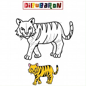 como dibujar un tigre paso a paso | Dibujos fáciles | DibuBaron