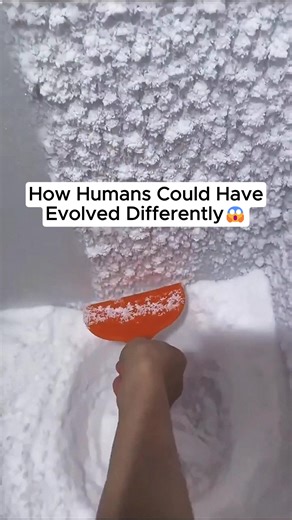 Alternative Human Evolution Paths