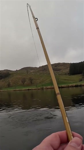 Fluefiske etter ørret/sjøørret i Rogaland #fluefiske #fliegenfischen #skittfiske #flyfishing #lake