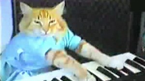 Know Your Meme Explains Keyboard Cat