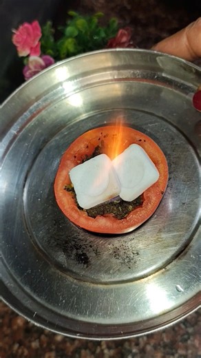 Viral टमाटर 🍅 Chai ☕Patti 🍃की Useful Tips 👌#New Kitchen Tips #Shorts #Viral #YTShorts👌#itssonalverma