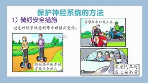 1.2K views · 15 reactions | 六年级科学演示文稿PPT（系列1） 珞来看看【第2课 人类】完整版内容...