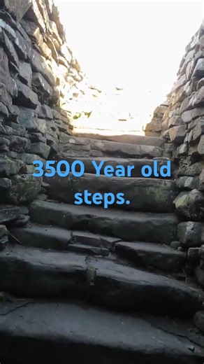 3500 Years old