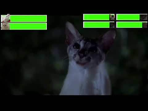 Stuart Little Final Battle with healthbars (Edited by ‪@GabrielD2002‬ )
